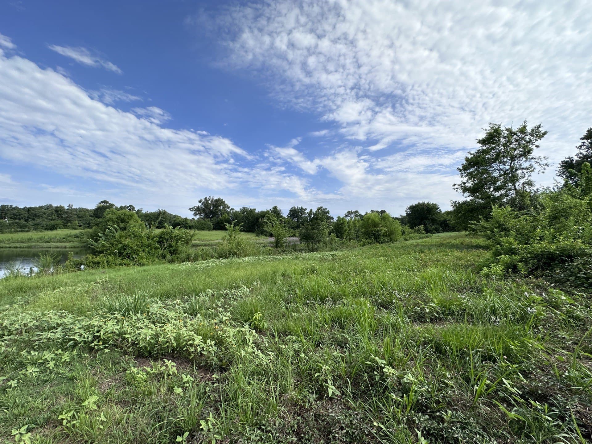 19.85 acres in Titus County - photo 23