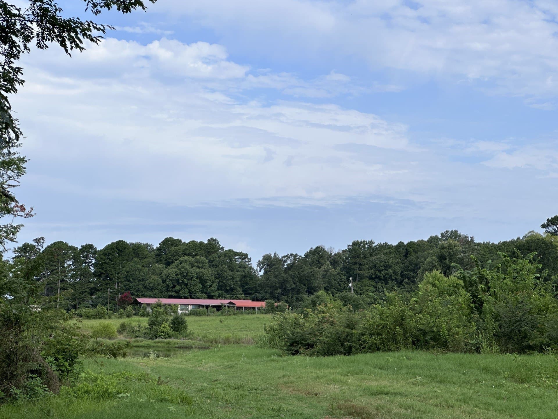 19.85 acres in Titus County - photo 24
