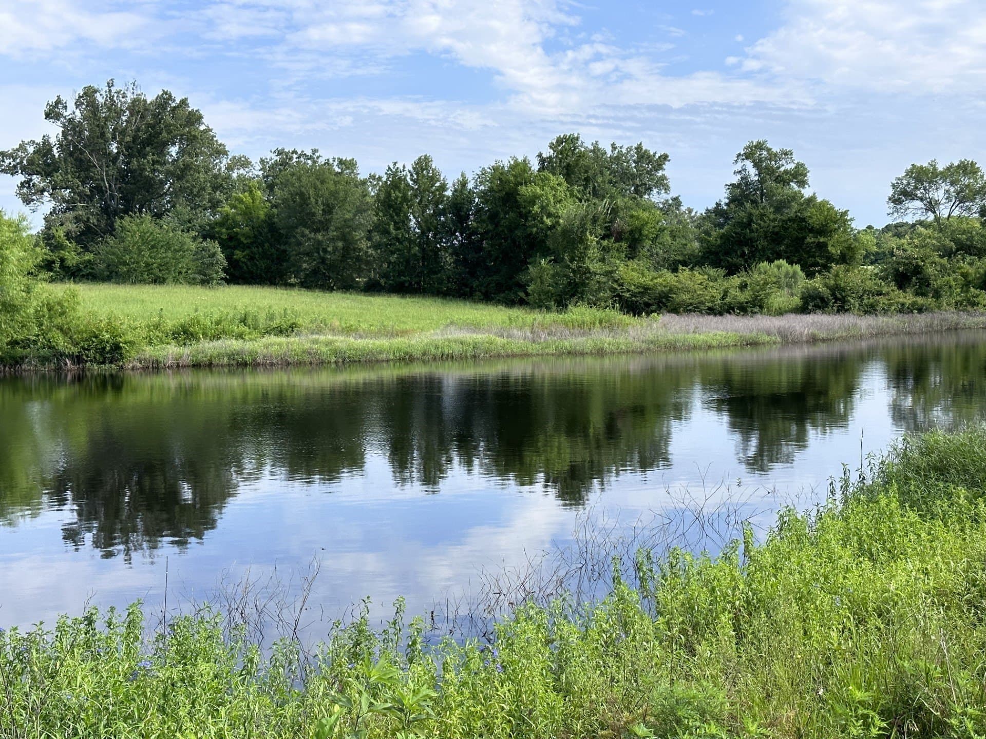 19.85 acres in Titus County - photo 21