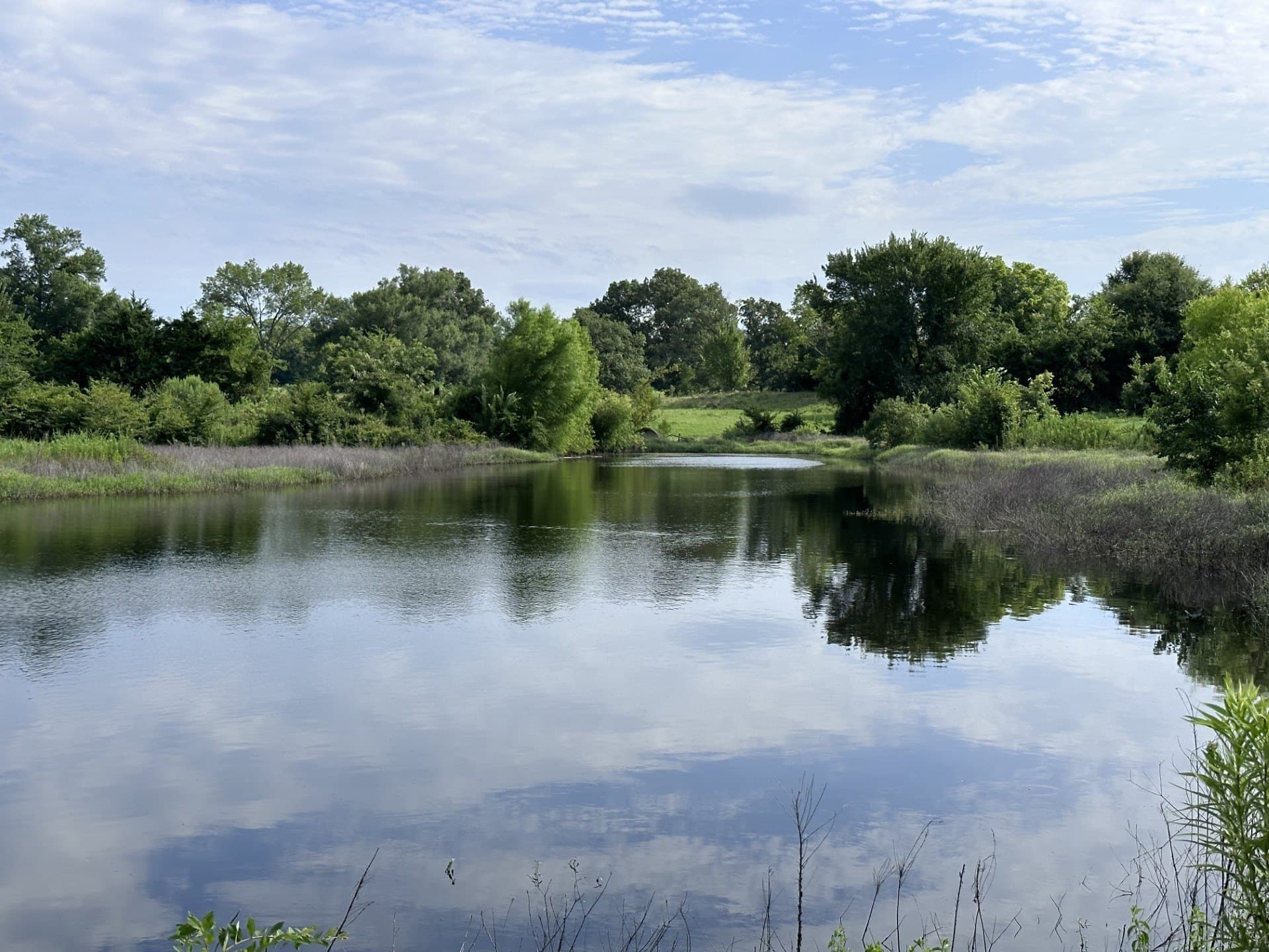 19.85 acres in Titus County - photo 17