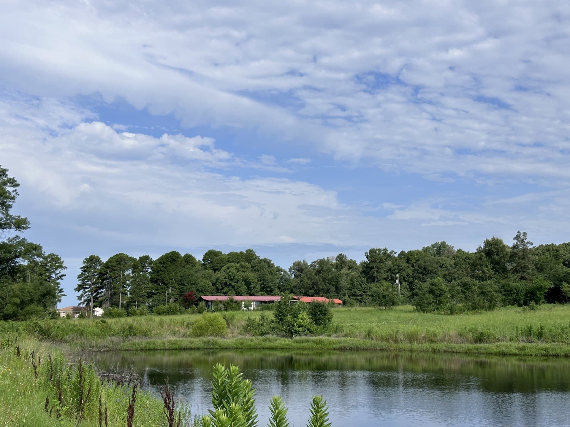 19.85 acres in Titus County - photo 26