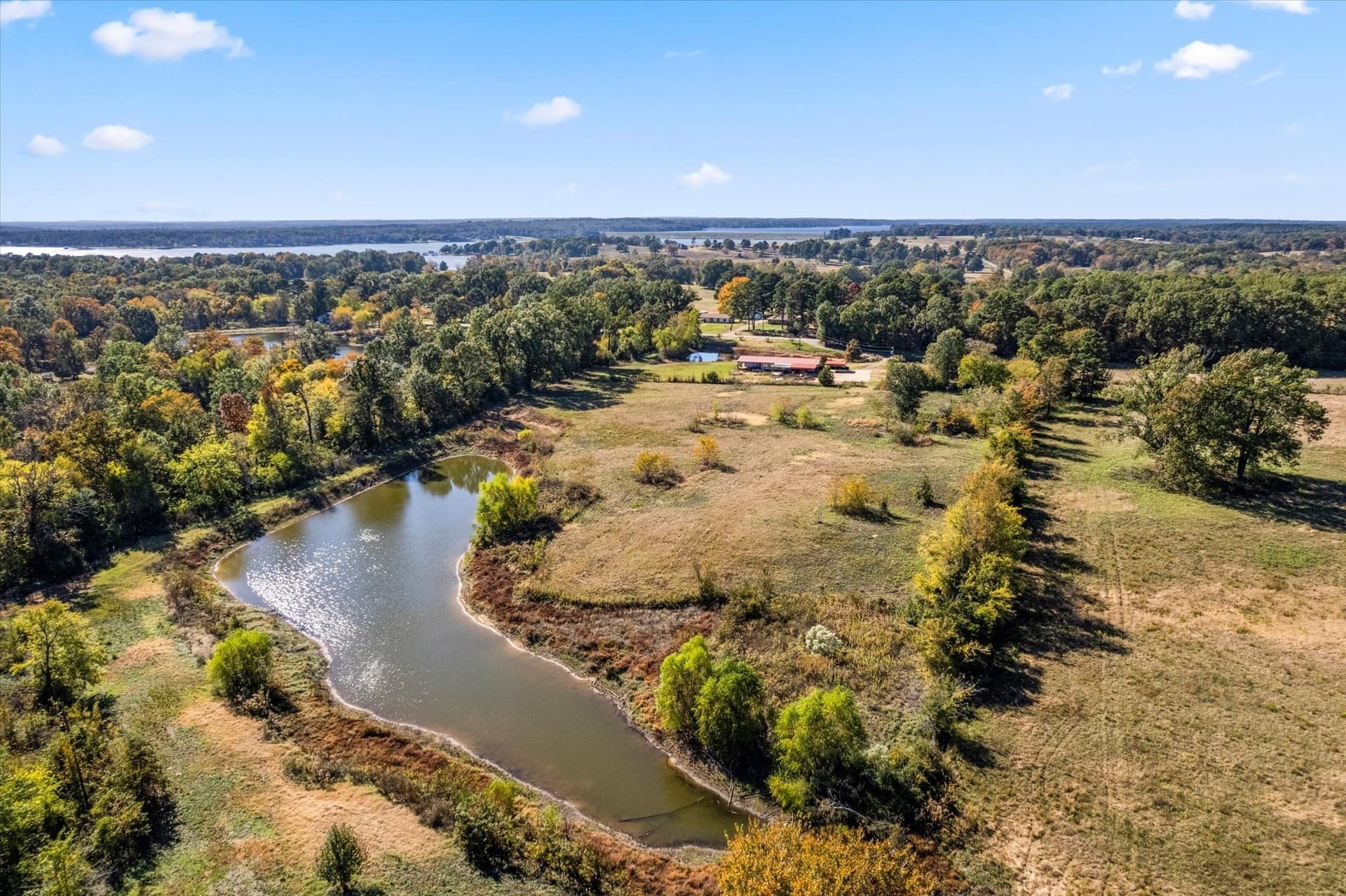 19.85 acres in Titus County gallery image 4