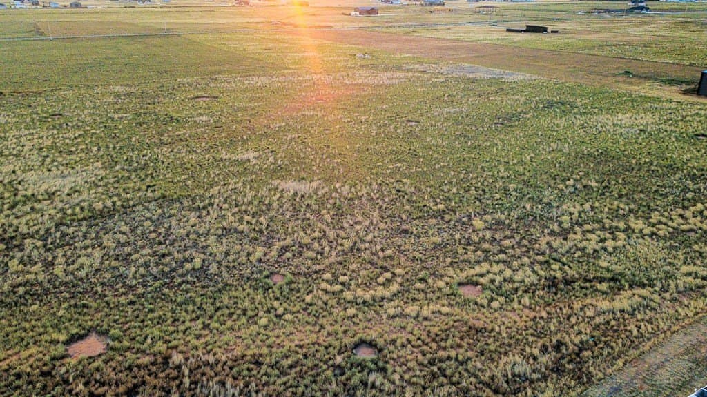 2.27 acres in Gaines County gallery image 4