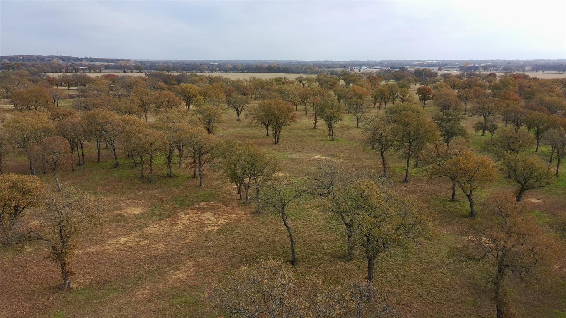73.08 acres in Parker County - photo 5