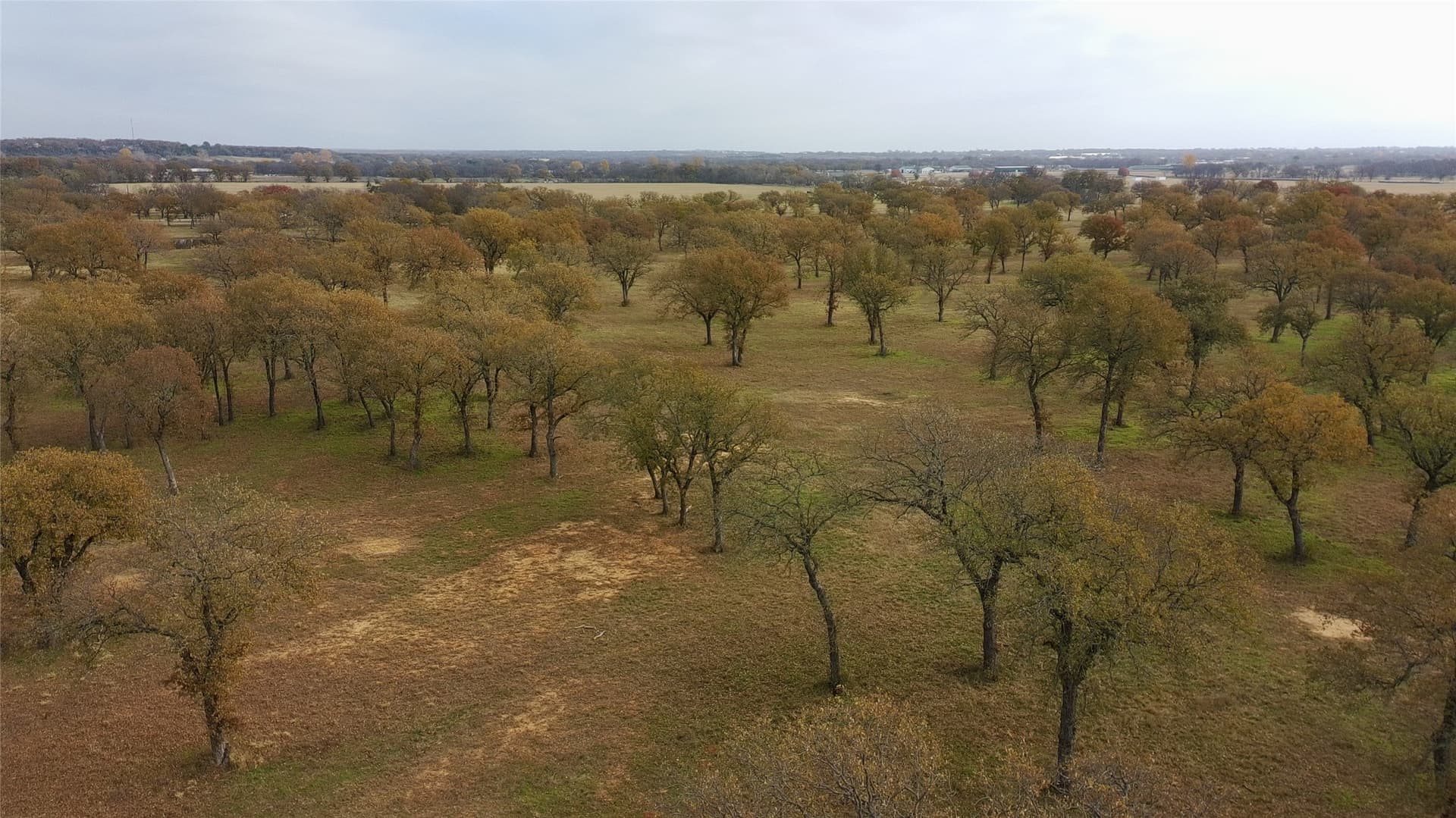 73.08 acres in Parker County - photo 8