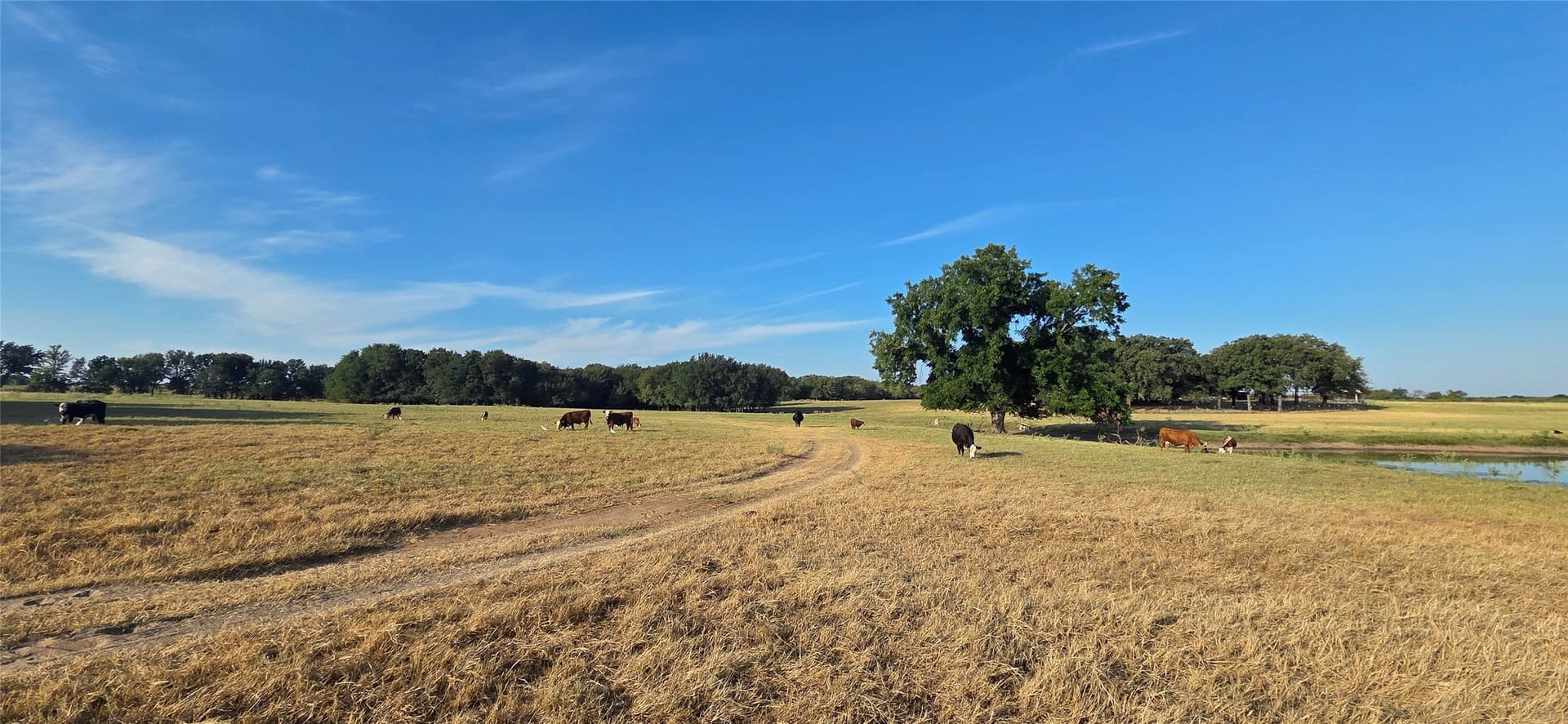 84.62 acres in Comanche County - photo 22