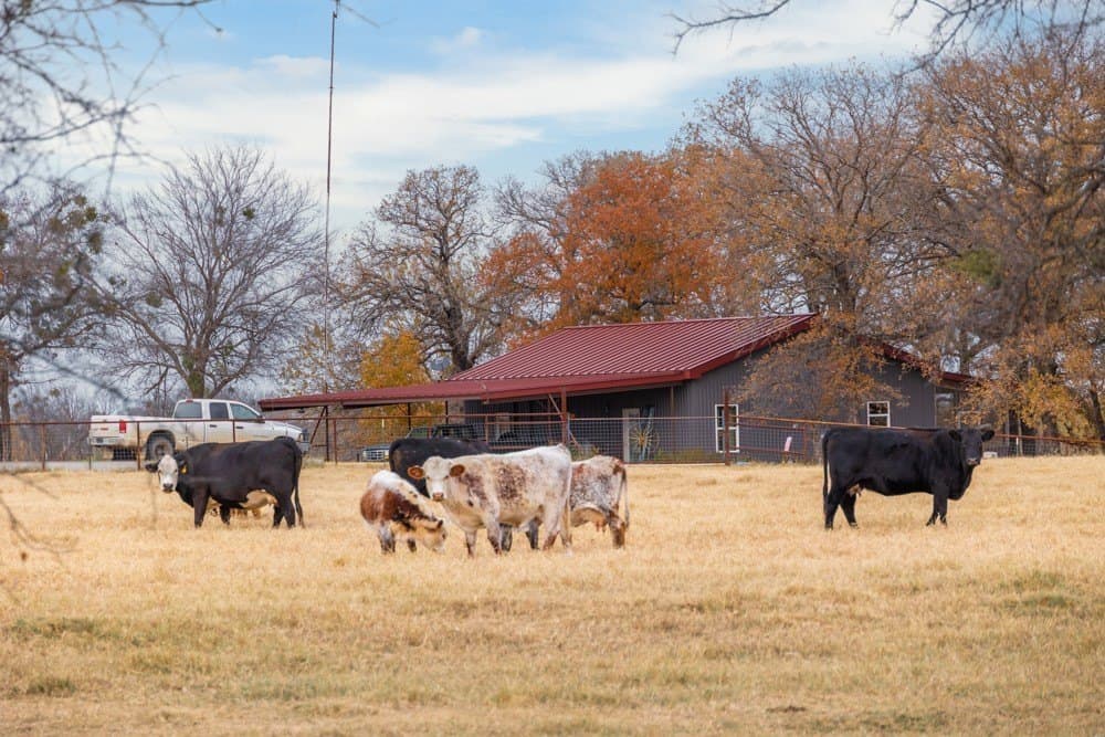 84.62 acres in Comanche County - photo 19