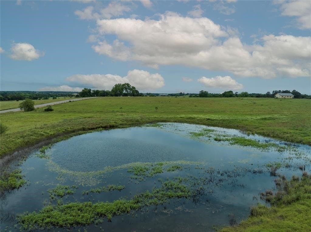 23.86 acres in Austin County gallery image 2