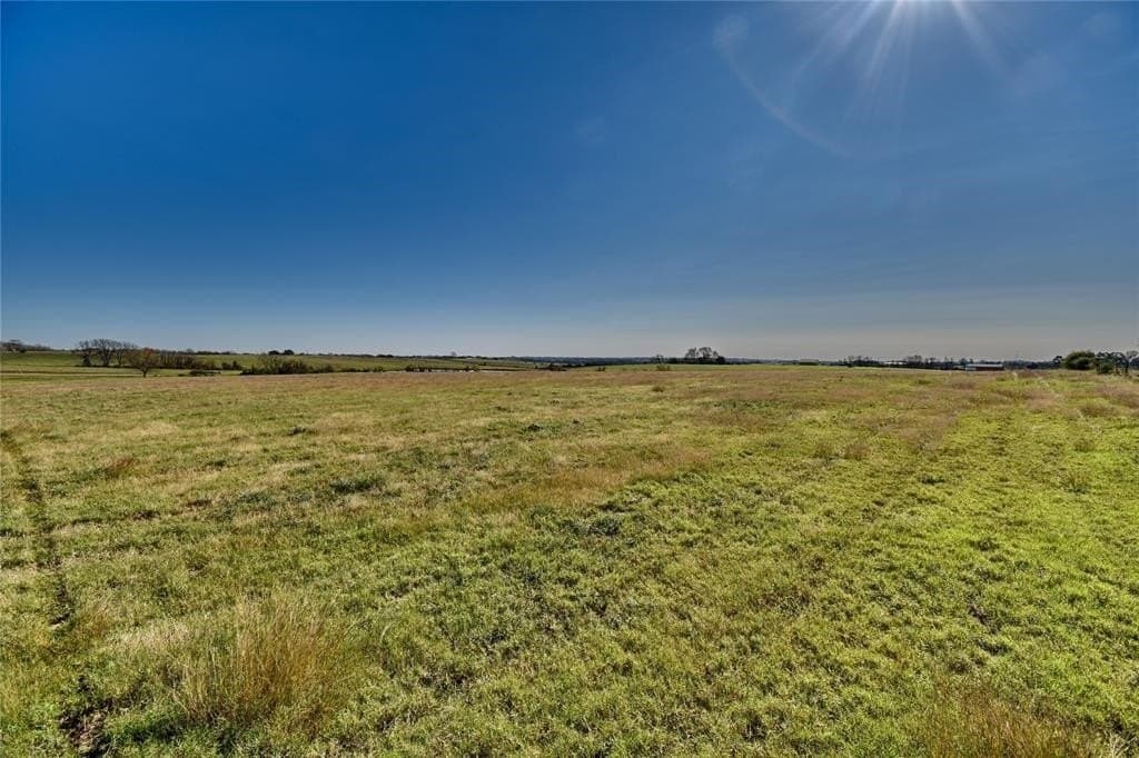 23.86 acres in Austin County gallery image 4
