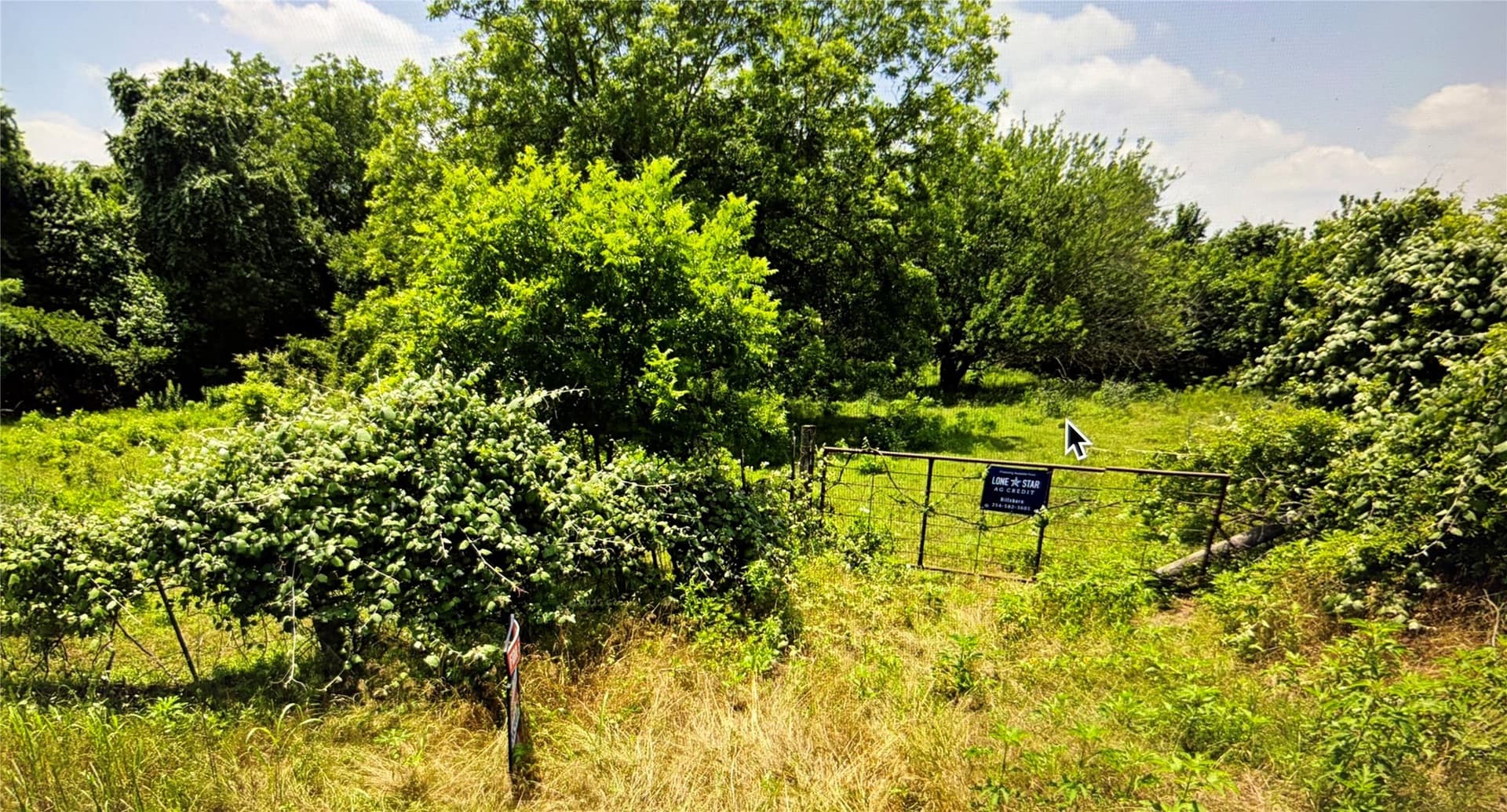 32.3 acres in Hill County - photo 2