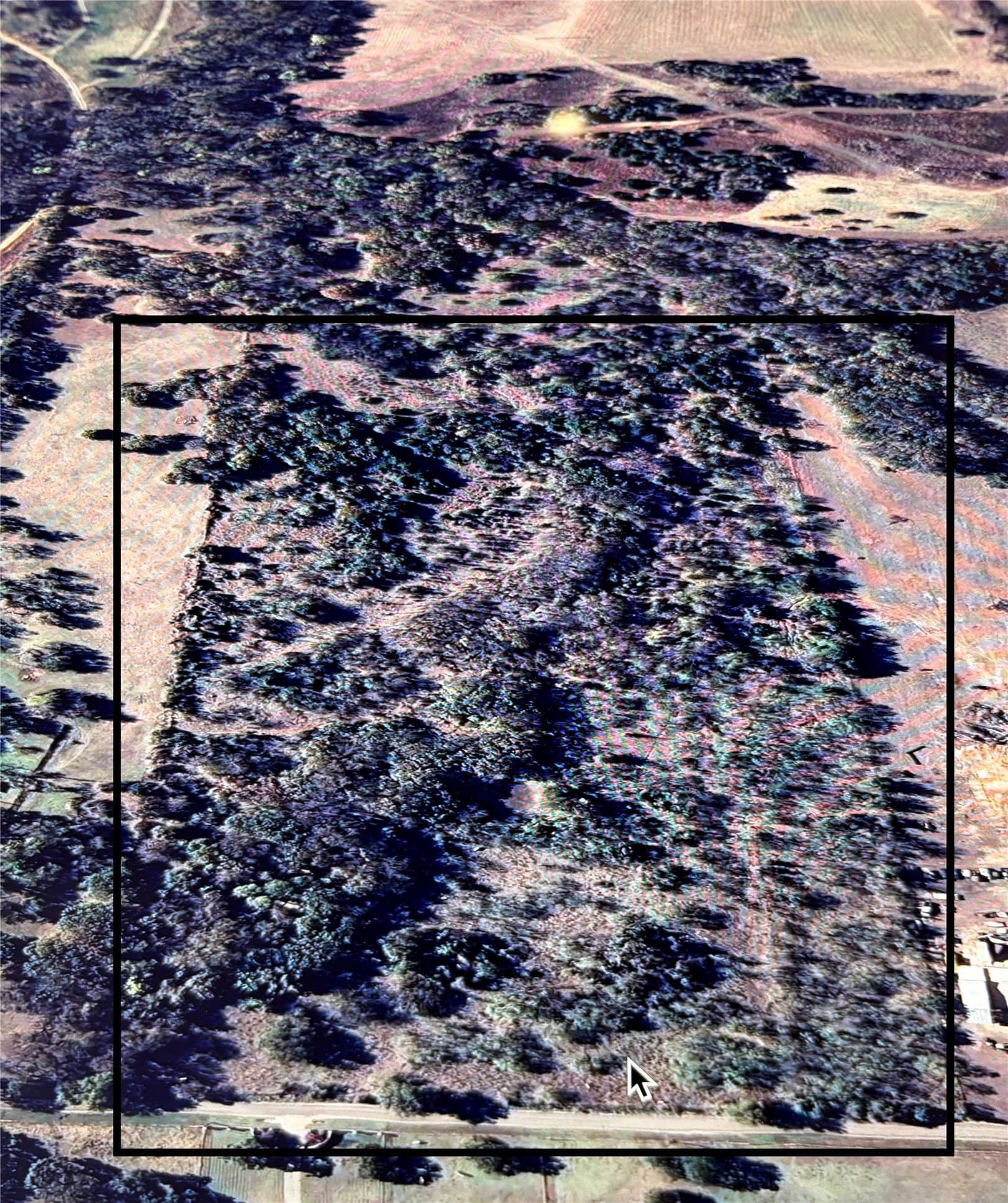 32.3 acres in Hill County - photo 3