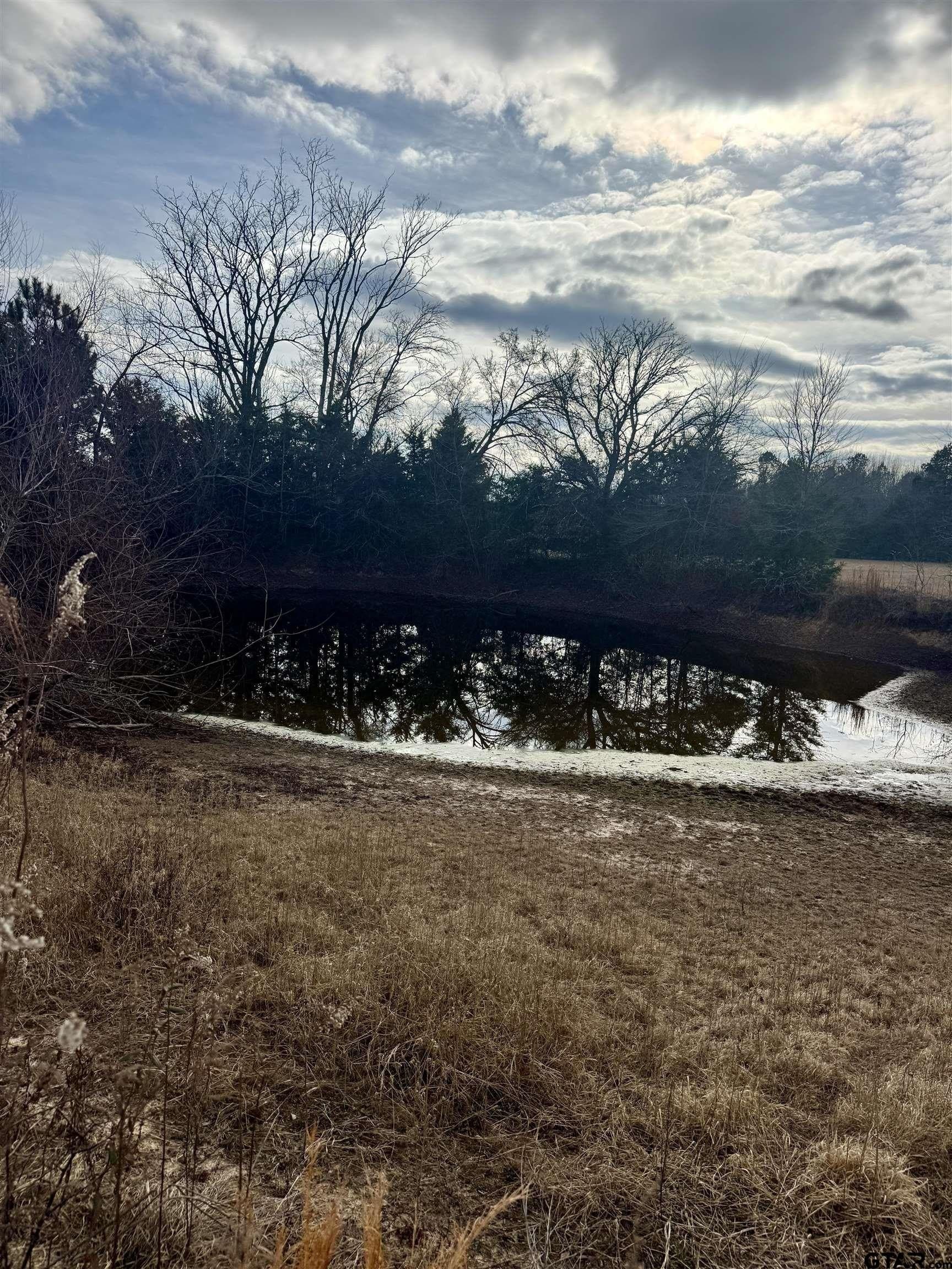 10 acres in Wood County - photo 13