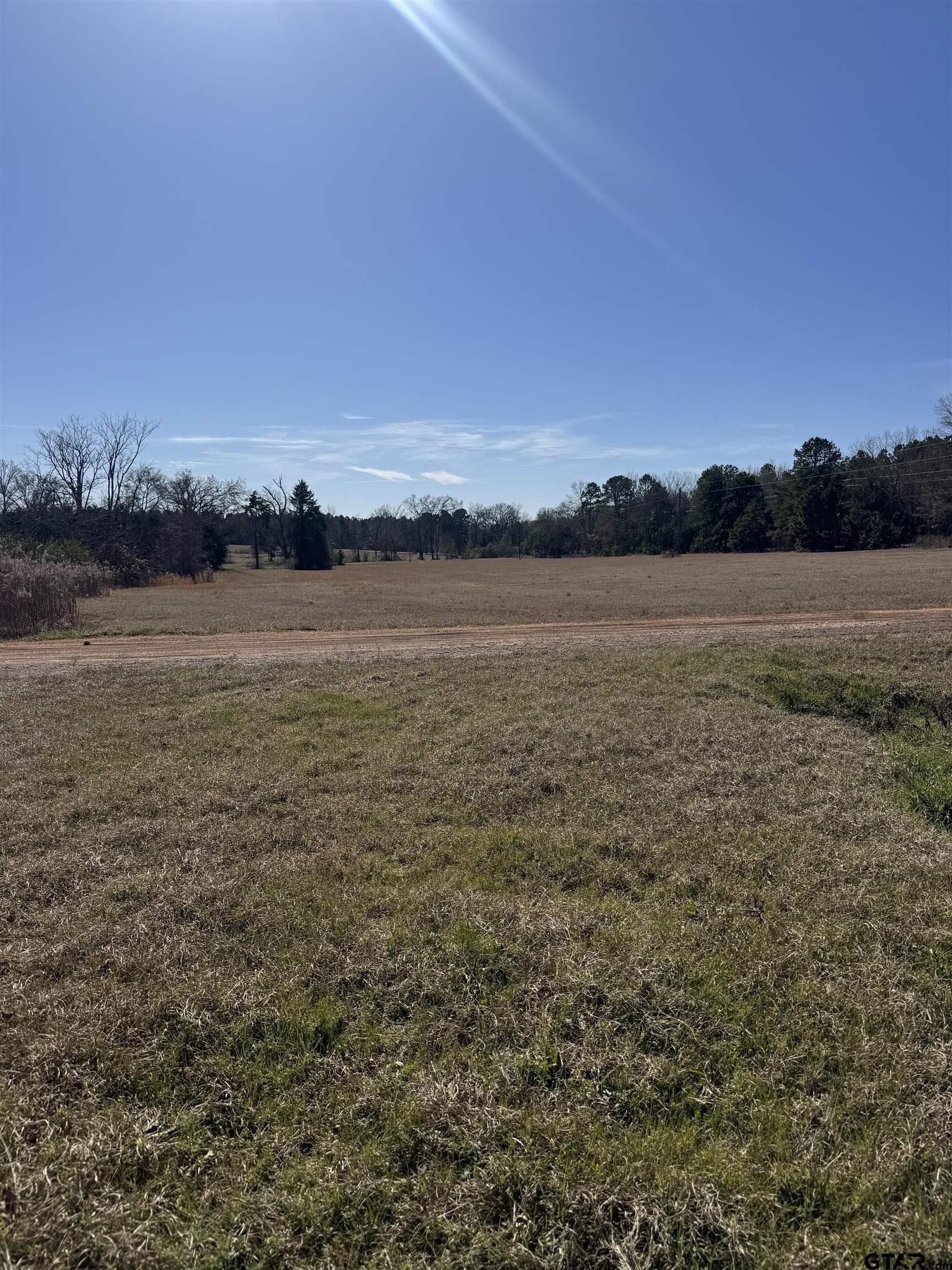 10 acres in Wood County - photo 16