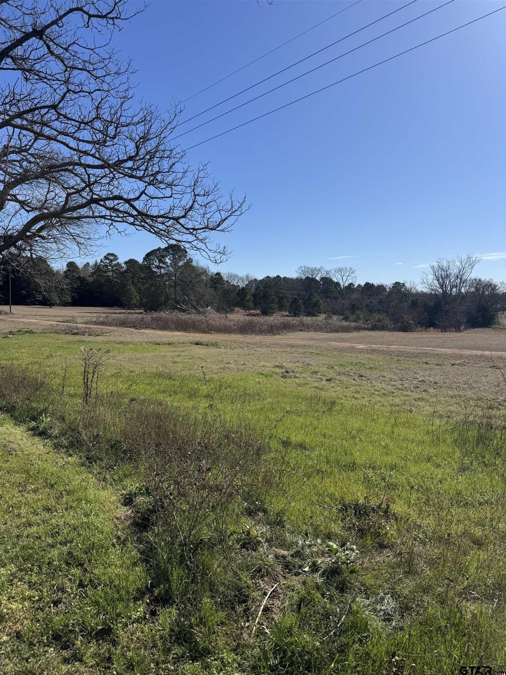 10 acres in Wood County - photo 14