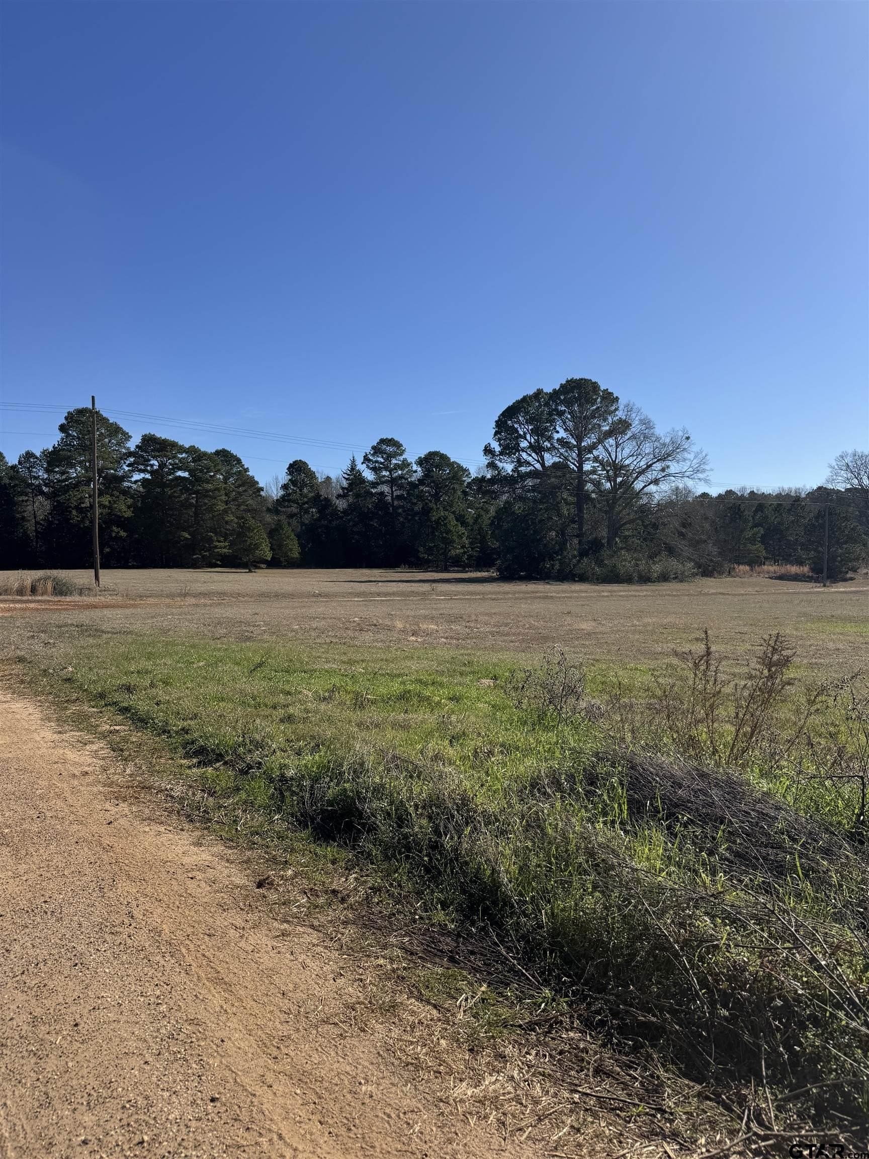 10 acres in Wood County - photo 15