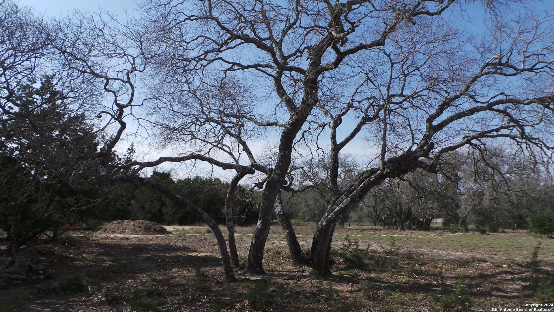 3.03 acres in Kendall County gallery image 3