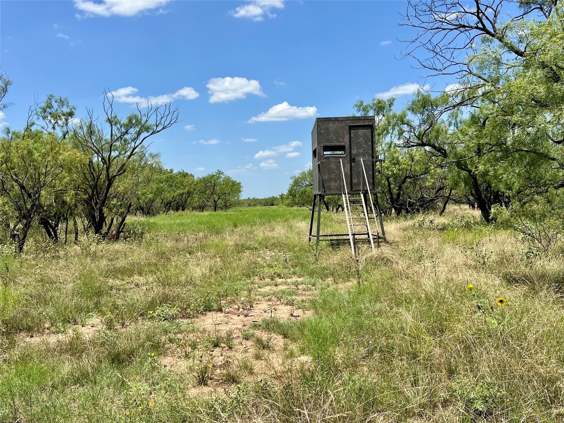 202 acres in Coleman County - photo 9