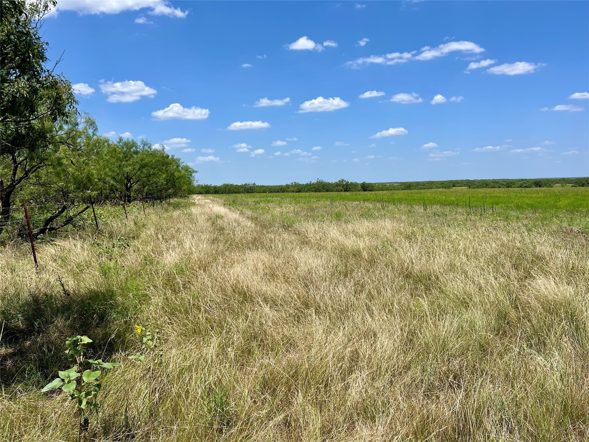 202 acres in Coleman County - photo 11
