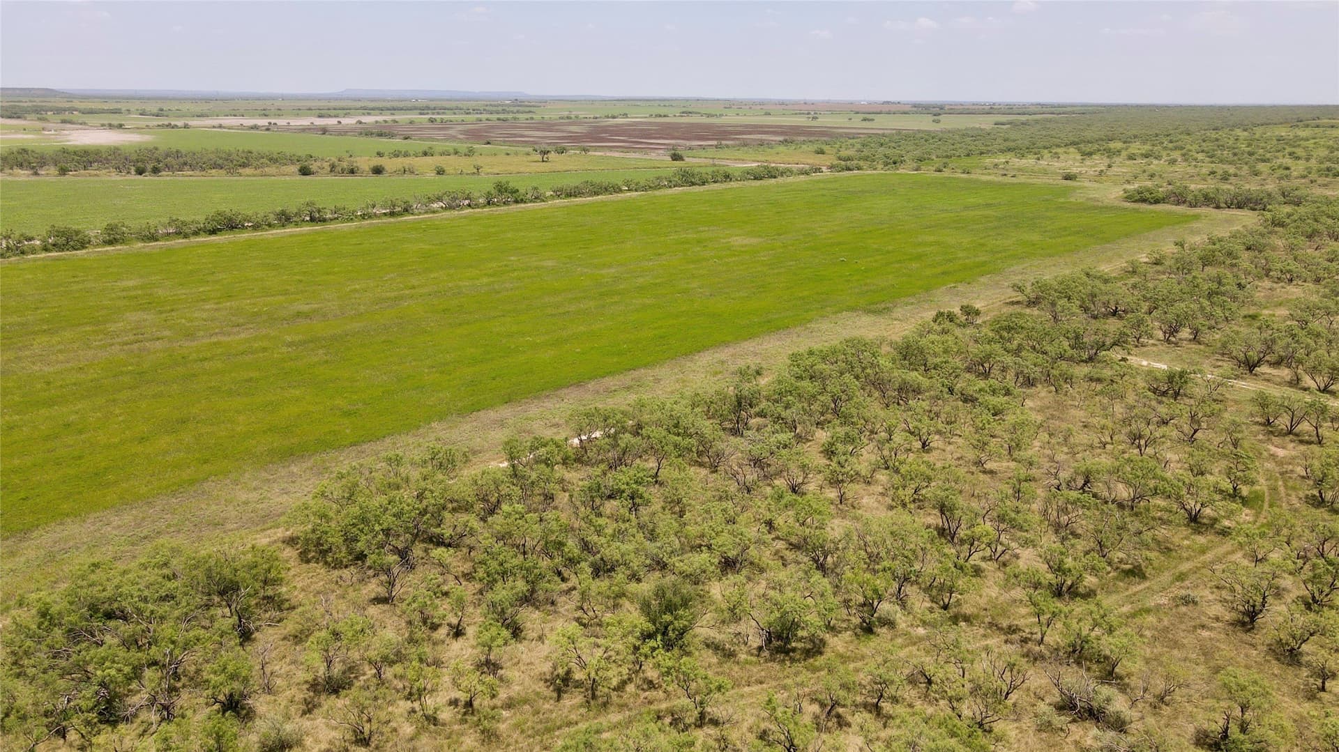 202 acres in Coleman County - photo 31