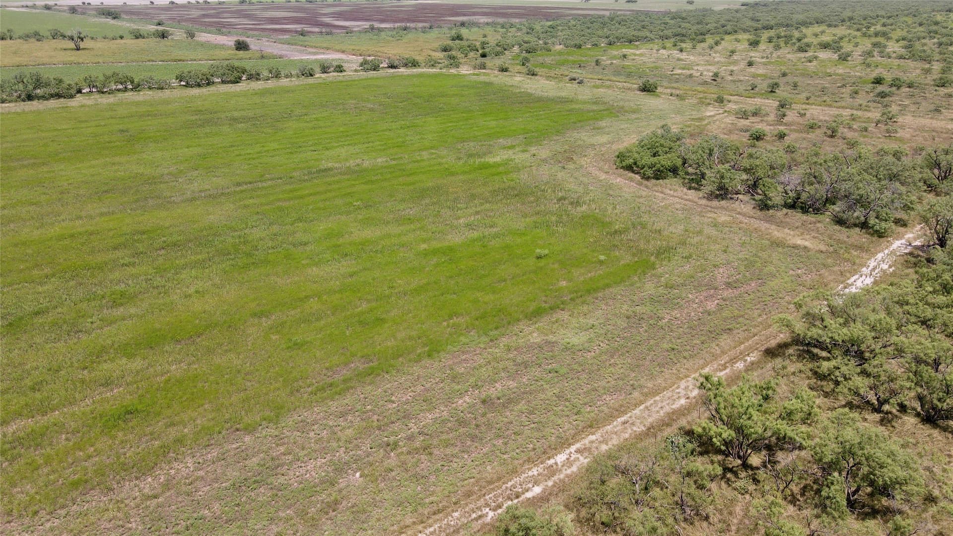 202 acres in Coleman County - photo 34