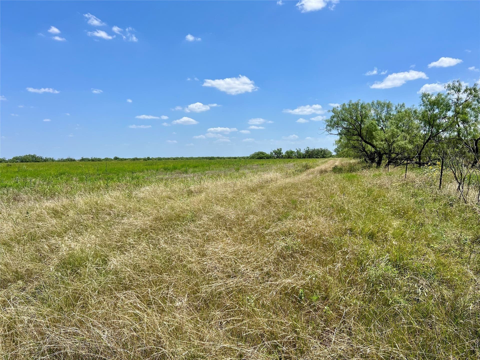 202 acres in Coleman County - photo 12