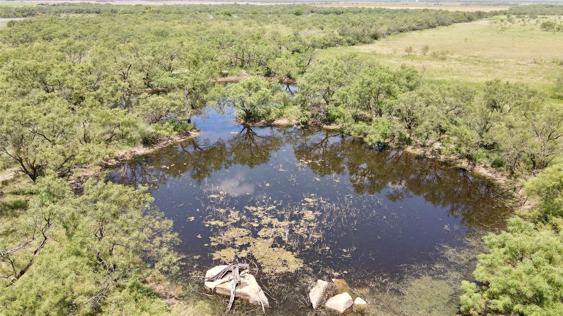 202 acres in Coleman County - photo 21