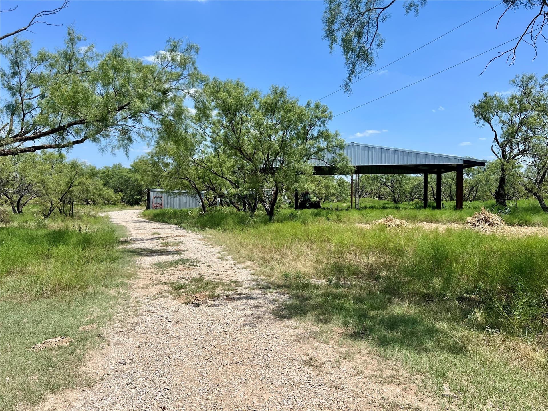 202 acres in Coleman County - photo 4
