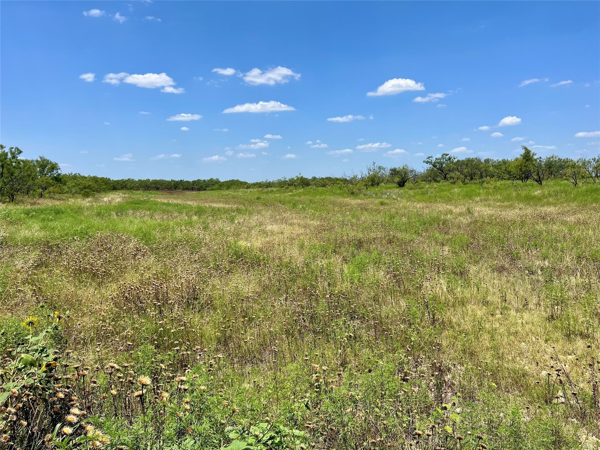 202 acres in Coleman County - photo 8