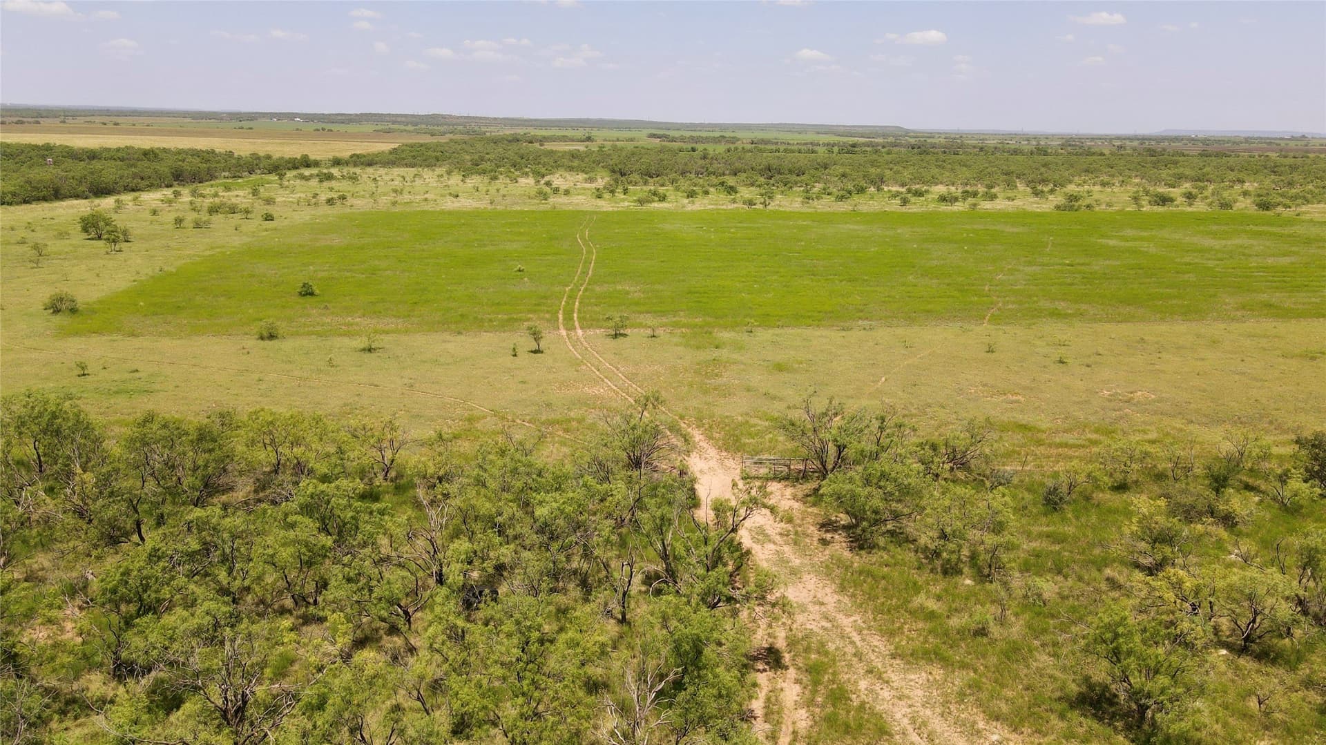 202 acres in Coleman County - photo 26