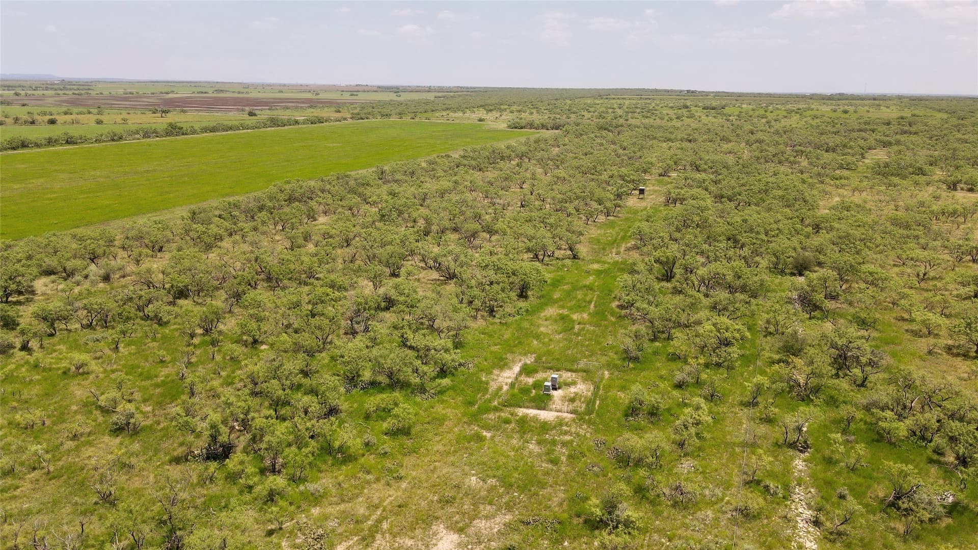 202 acres in Coleman County - photo 28