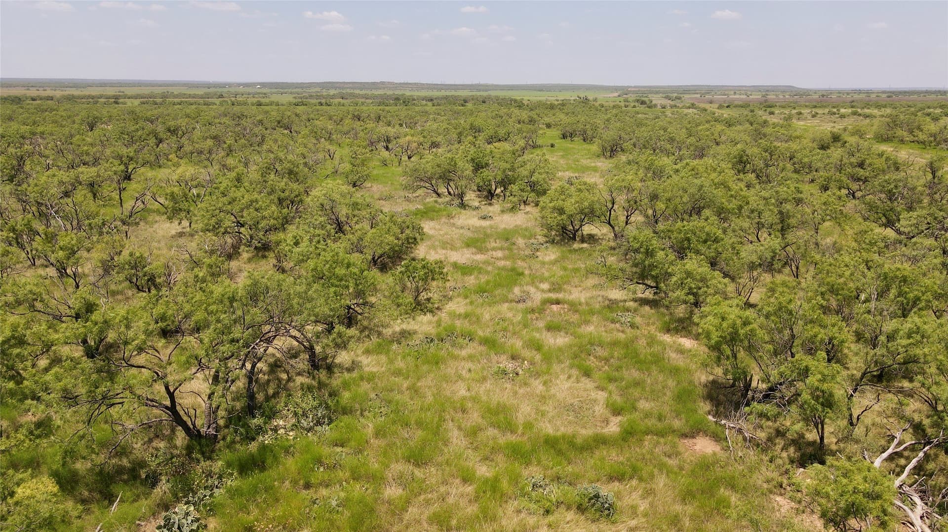 202 acres in Coleman County - photo 37