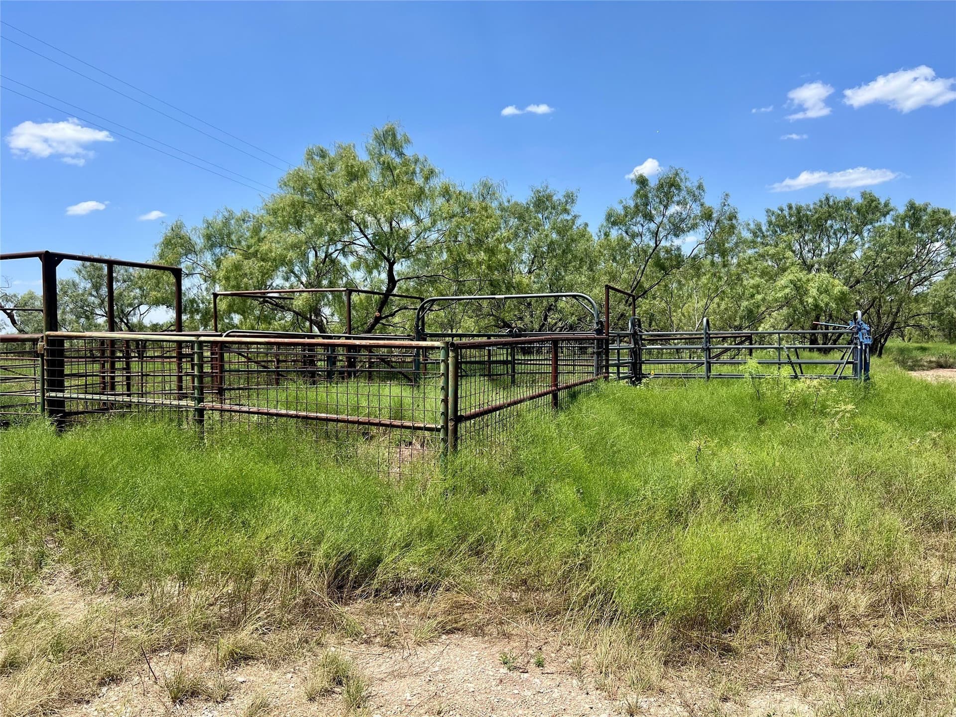 202 acres in Coleman County - photo 2