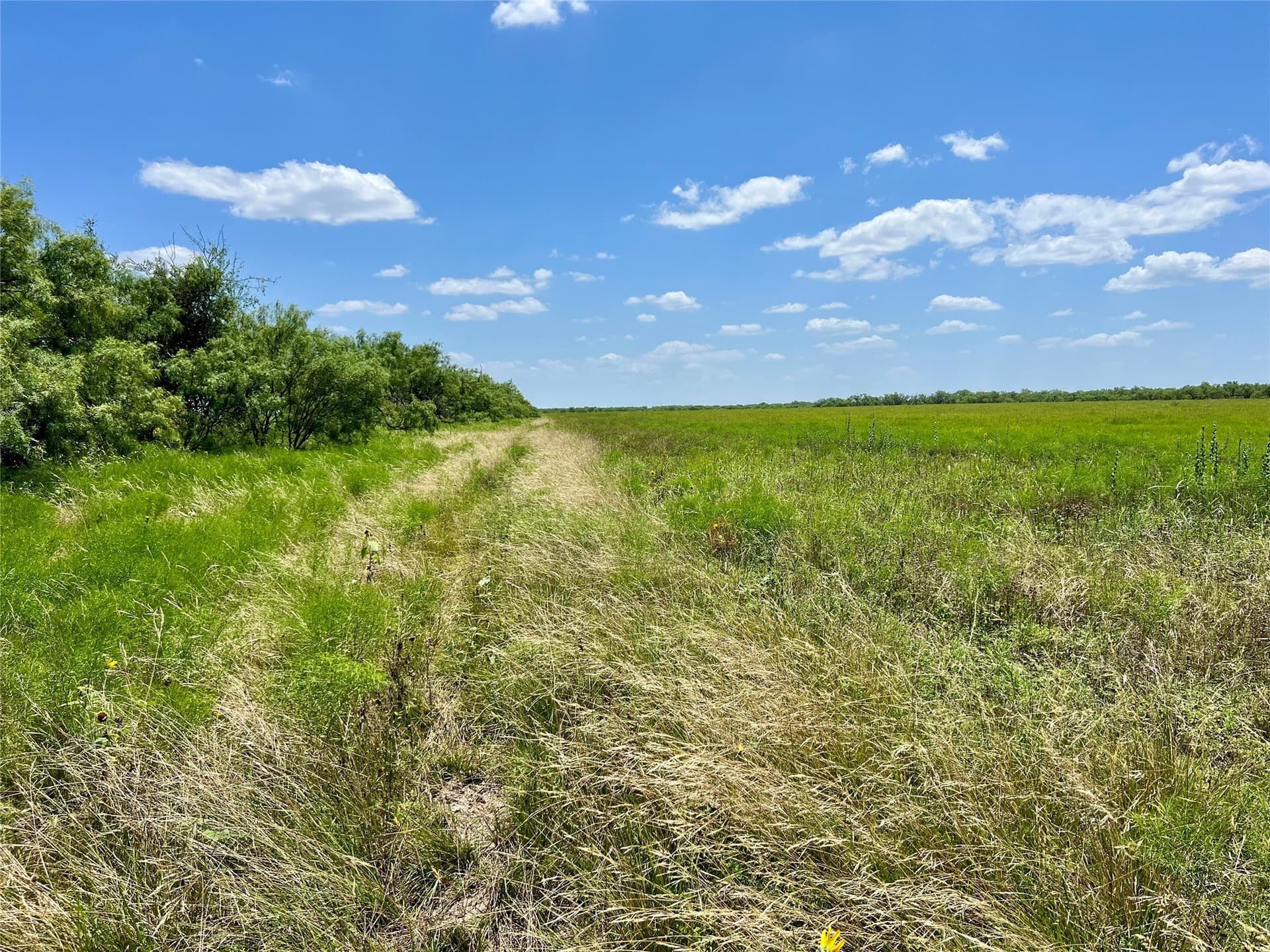 202 acres in Coleman County - photo 16
