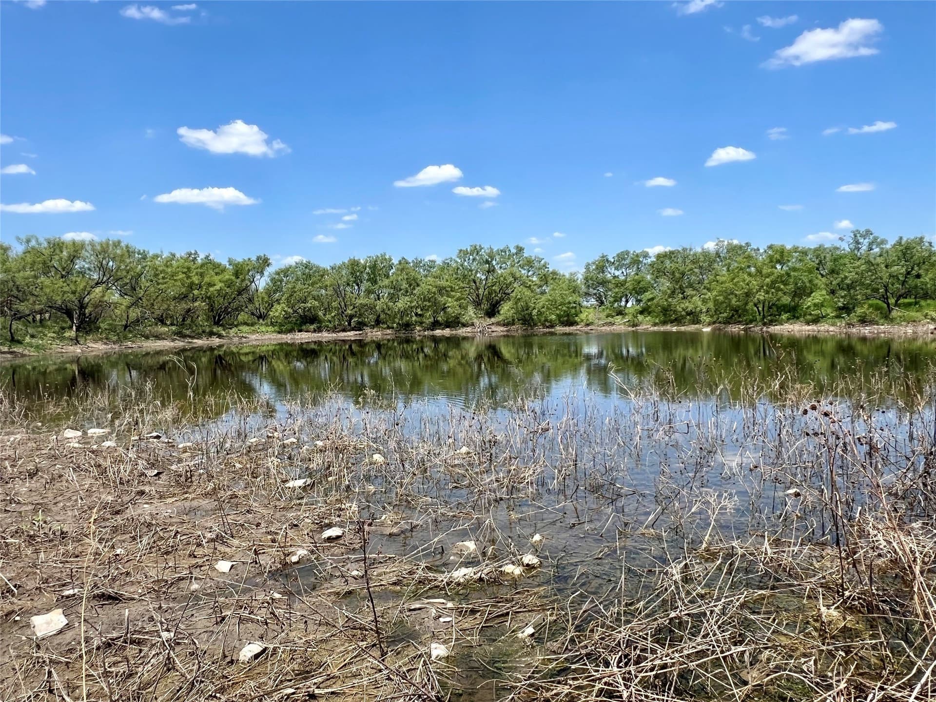 202 acres in Coleman County - photo 6