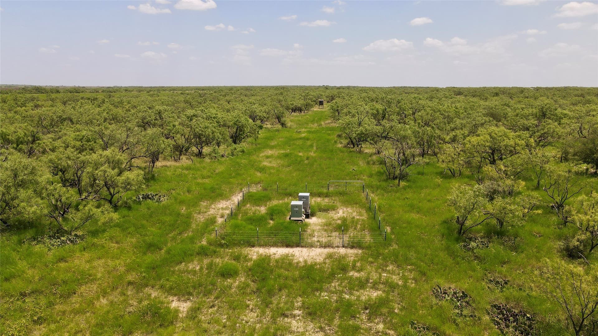 202 acres in Coleman County - photo 29