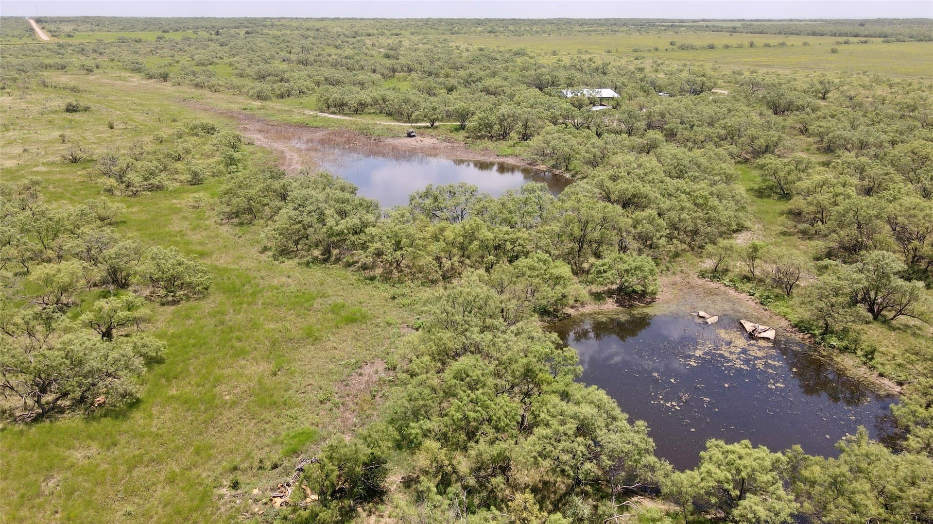 202 acres in Coleman County - photo 22