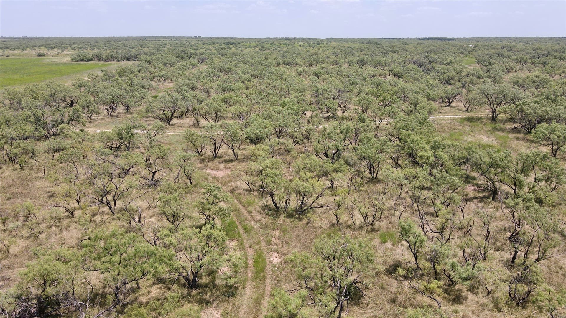 202 acres in Coleman County - photo 30