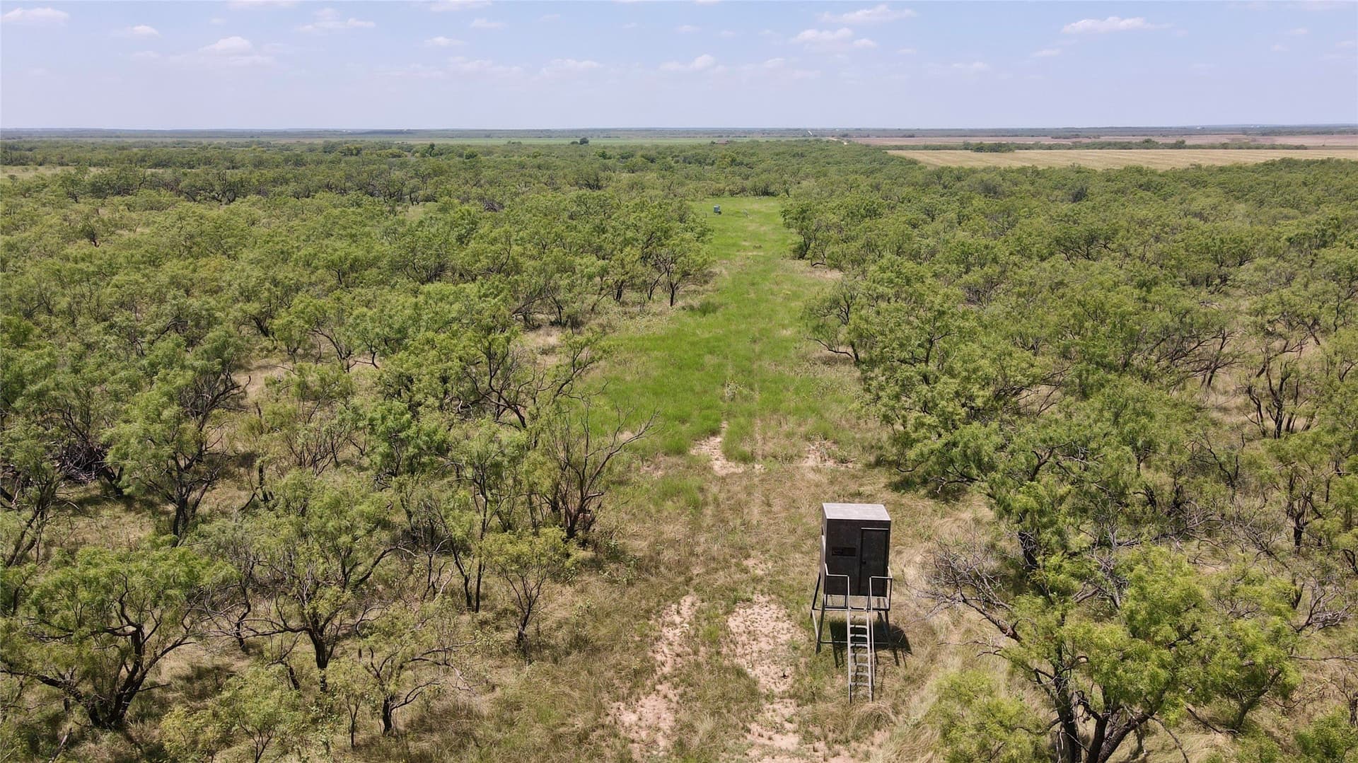 202 acres in Coleman County - photo 3