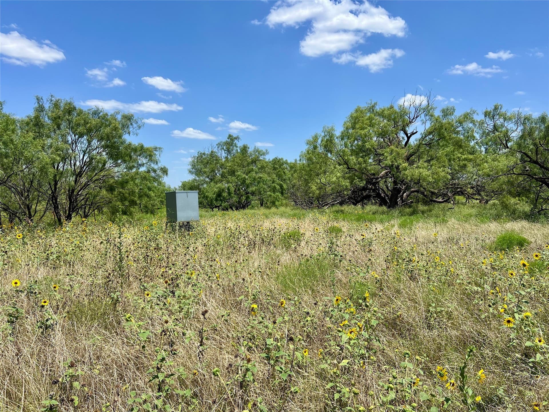 202 acres in Coleman County - photo 13