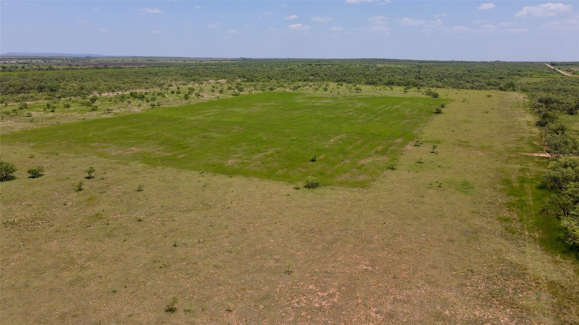 202 acres in Coleman County - photo 27