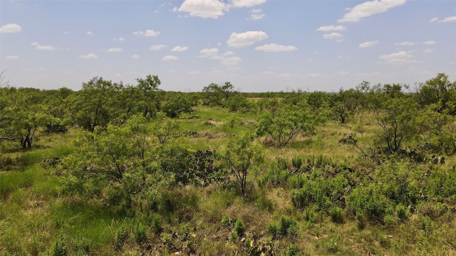 202 acres in Coleman County - photo 36