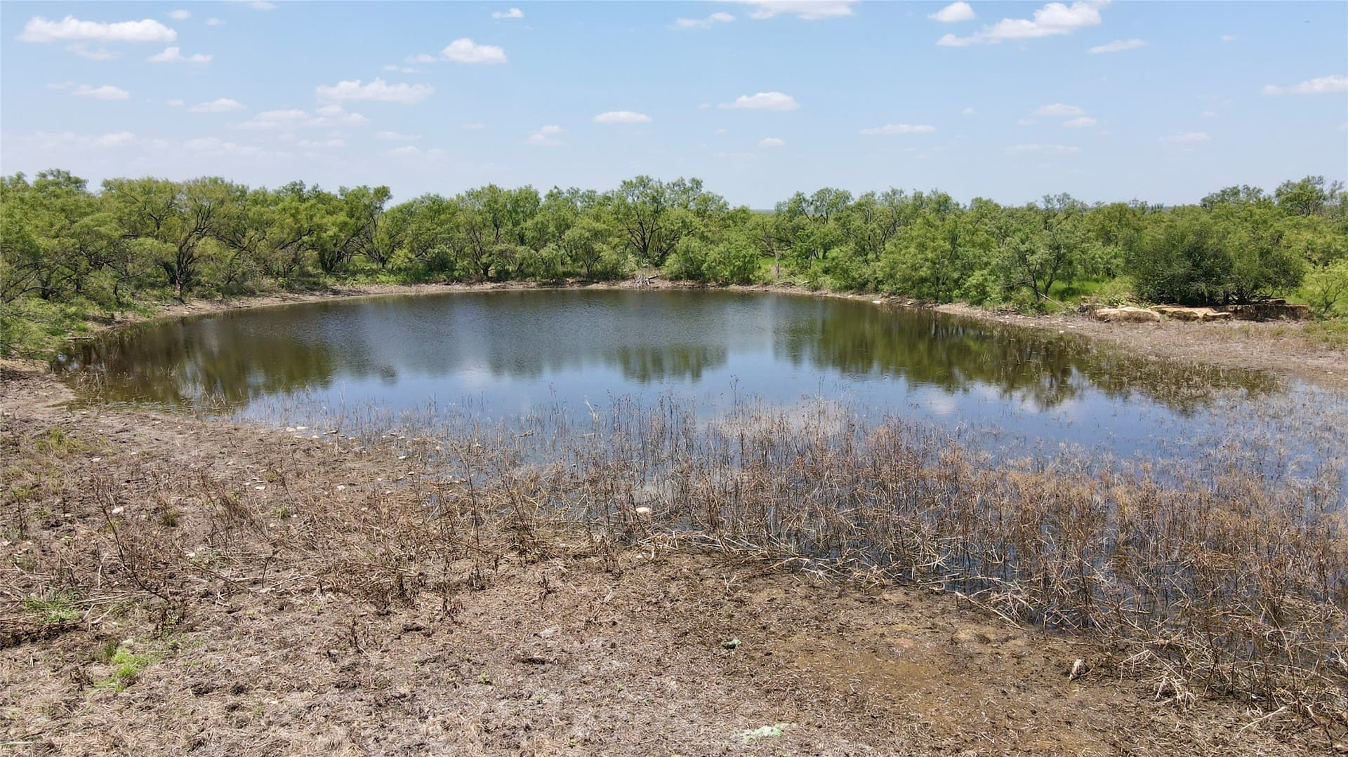 202 acres in Coleman County - photo 20