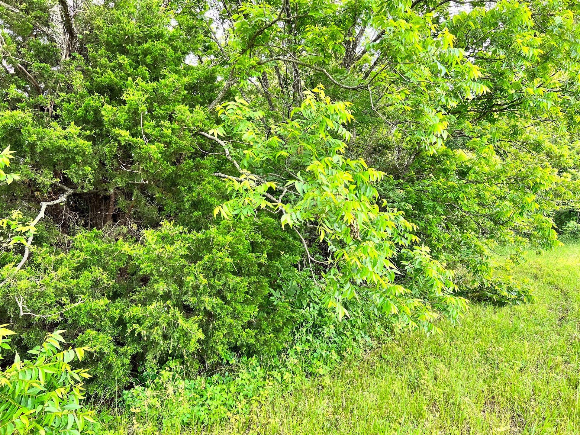1.02 acres in Navarro County - photo 19