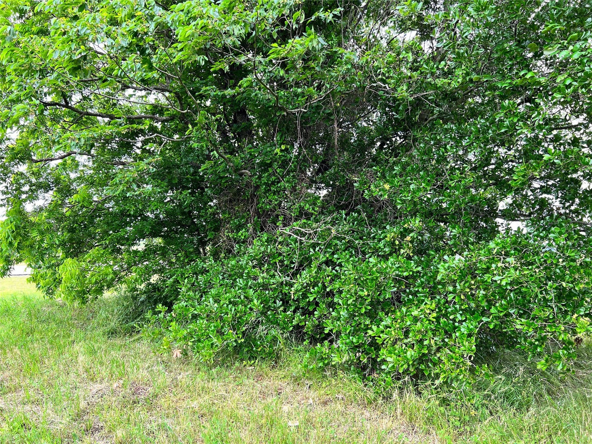 1.02 acres in Navarro County - photo 22