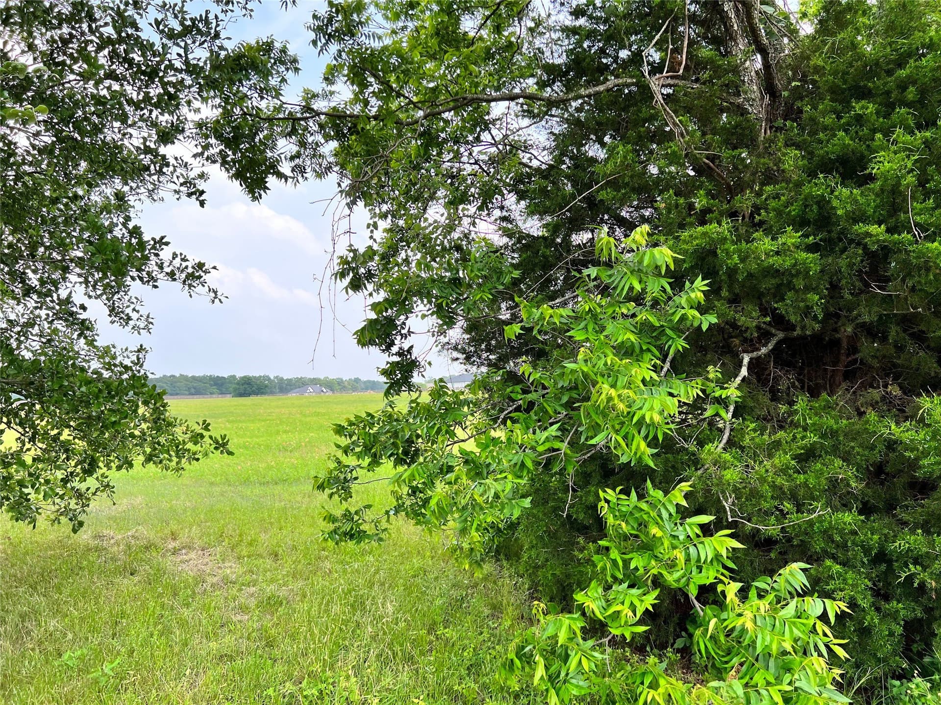 1.02 acres in Navarro County - photo 15