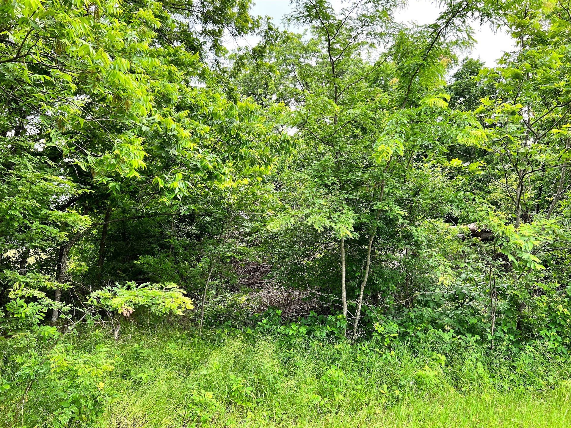 1.02 acres in Navarro County - photo 10
