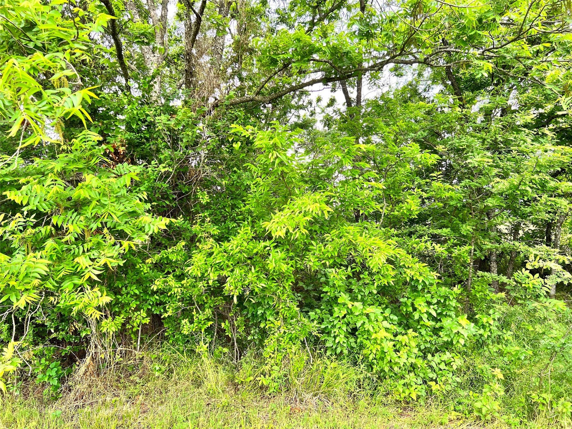 1.02 acres in Navarro County - photo 13