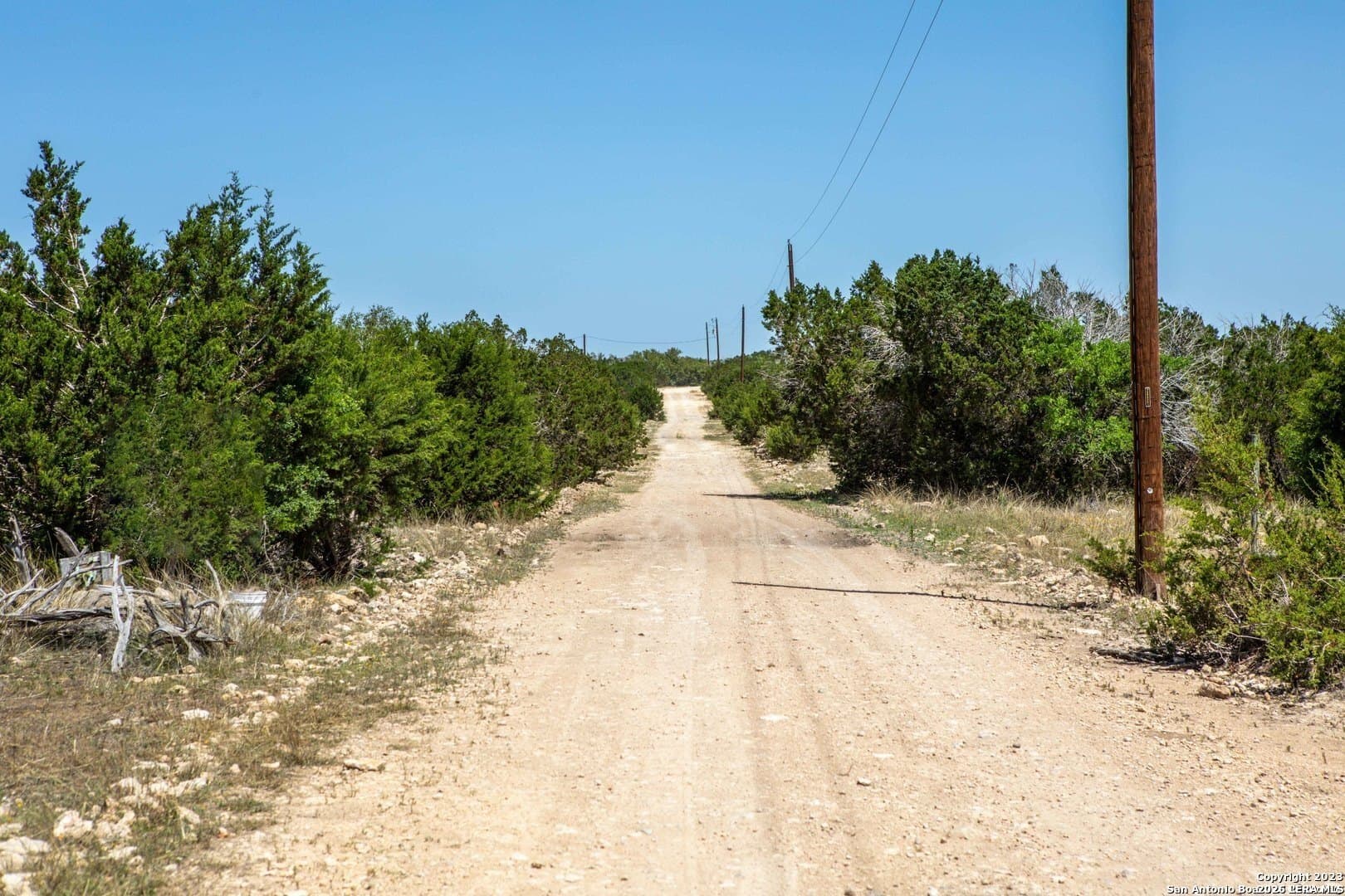 40 acres in Edwards County - photo 6