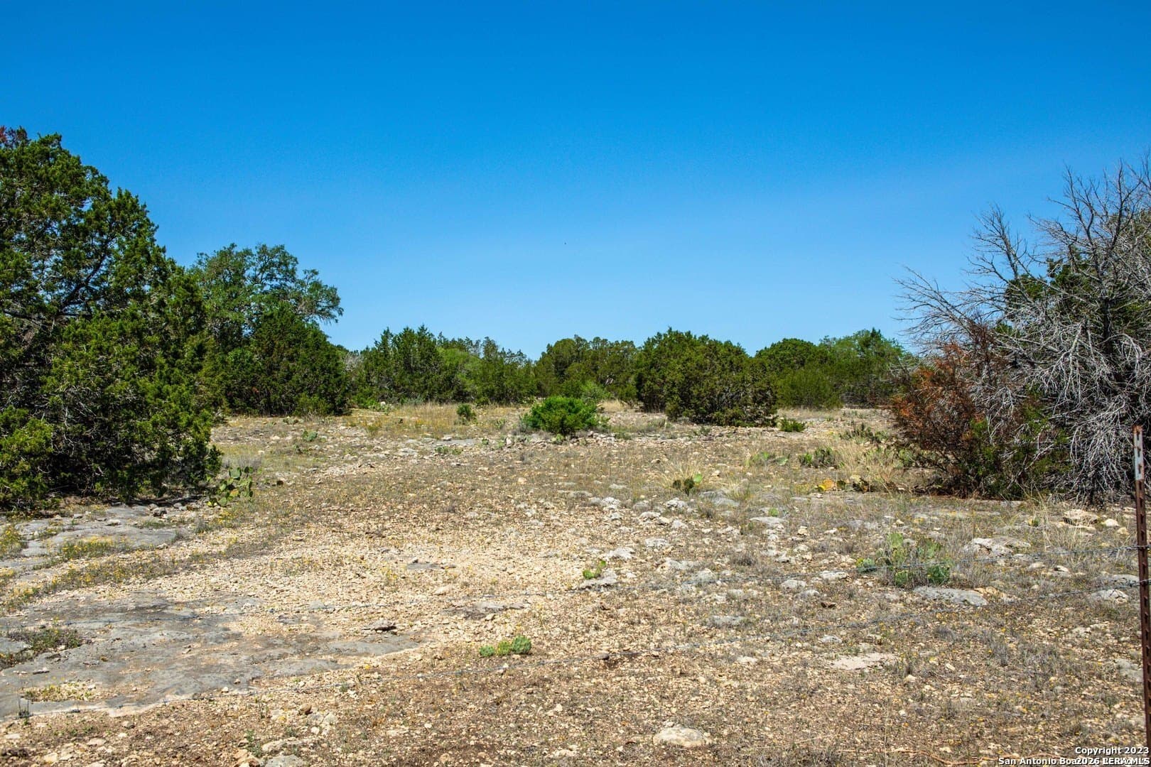 40 acres in Edwards County - photo 8