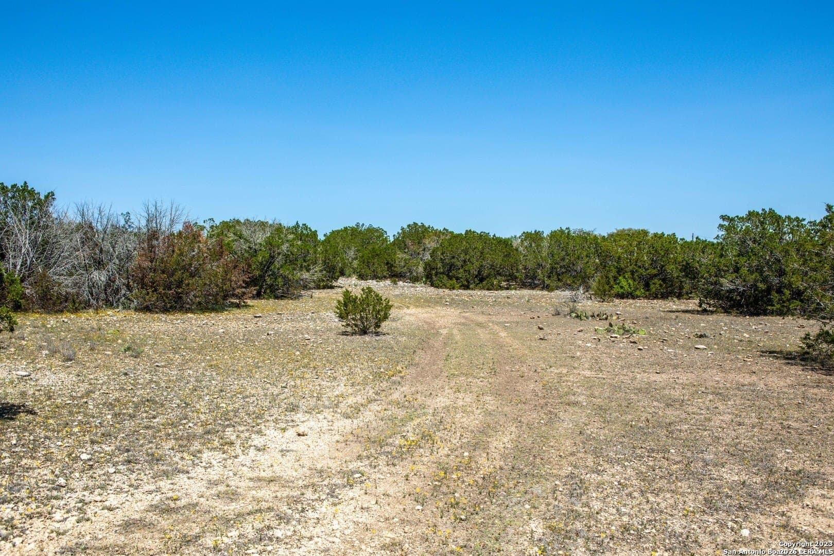 40 acres in Edwards County - photo 10